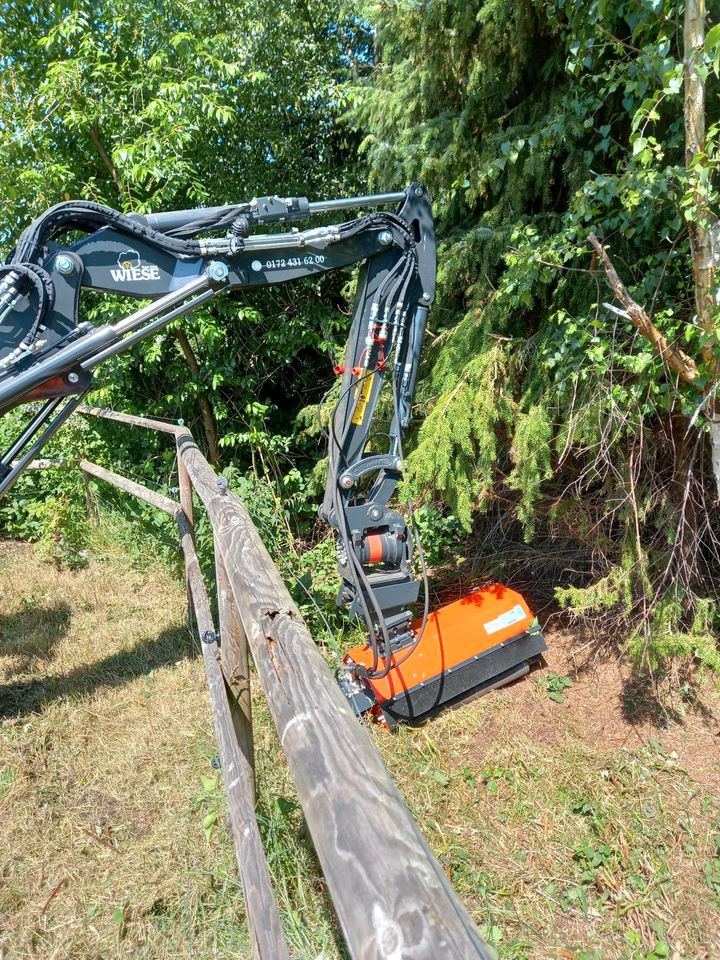 Knickpflege Baggerarbeiten Bagger Mulcher Gewässerunterhaltung in Bad Zwischenahn