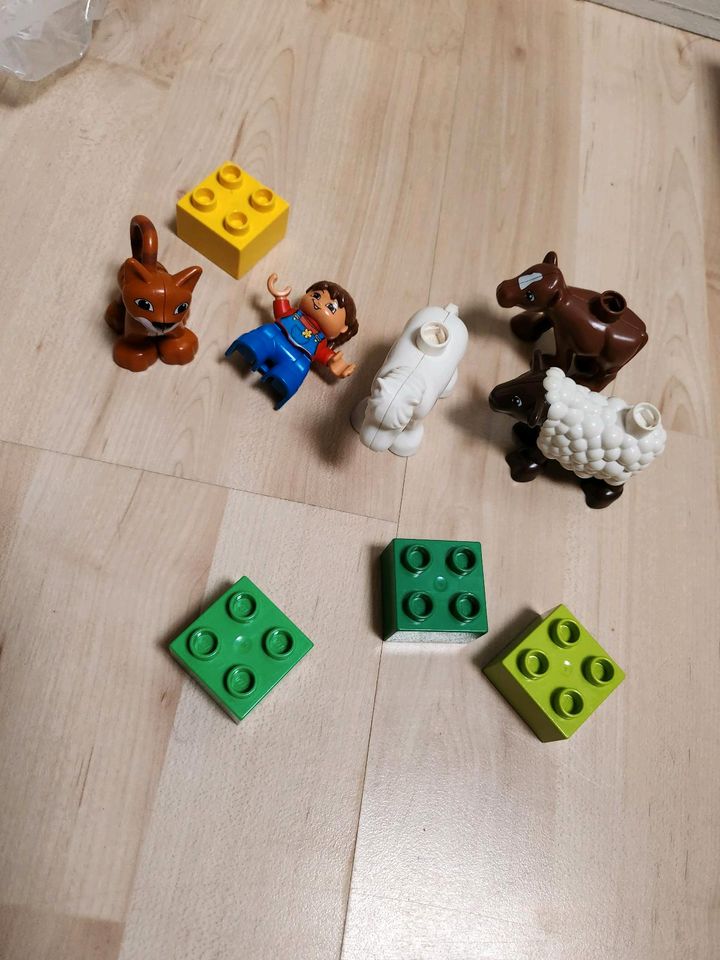 Lego Duplo Konvult Tiere Menschen Autos Obst Weppa Wutz in Hanerau-Hademarschen