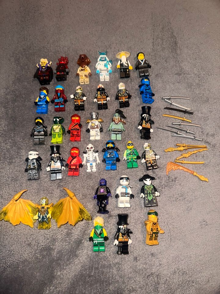 Lego Ninjago Figuren Sammlung in Hohenwestedt