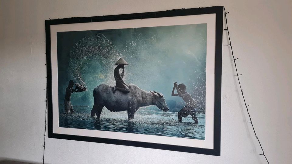 Wandbild XXL - Water Buffalo - Vichaya in Schwetzingen