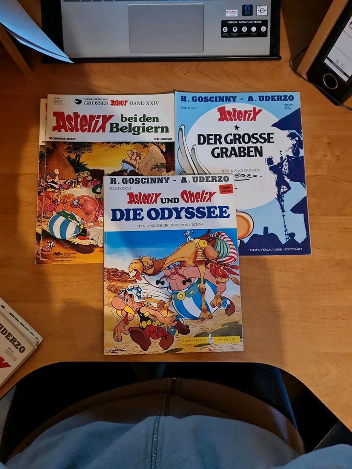 30 Asterix & Obelix Comics - RAR in Rottach-Egern