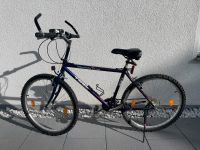 Fahrrad  TREK 26 Zoll in Farbe: blau/lila Bayern - Zapfendorf Vorschau