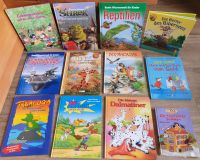 Kinderbücher (Pocahontas, Shrek, Schneewitchen u.a.), 3 € / Buch Bayern - Augsburg Vorschau