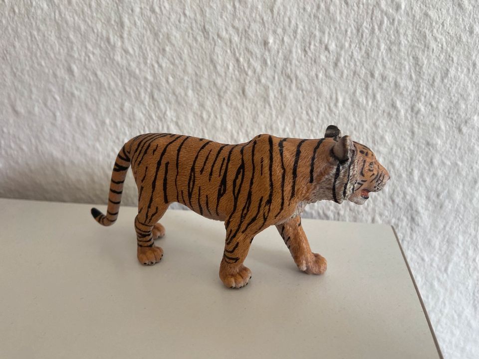 Tiger Schleich in Dresden