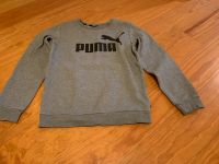 Pullover Puma Größe 152 Hamburg-Nord - Hamburg Fuhlsbüttel Vorschau