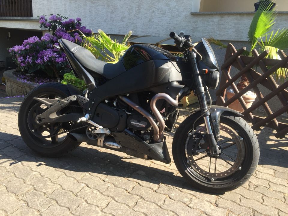 Buell XB 12 S - Black line 2009 wenig KM - Harley Davidson in Südharz