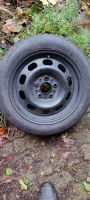 Bridgestone 195/55 R16 Winterreifen Schleswig-Holstein - Nortorf Vorschau