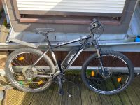 Fischer EM 1724 E-Bike Mountainbike Nordrhein-Westfalen - Königswinter Vorschau