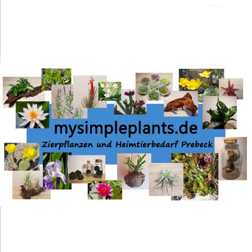 Logo von mysimpleplants.de - Zierpflanzen und Heimtierbedarf Prebeck