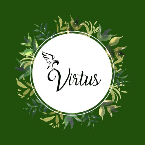 Logo von Virtus Möbel Aller Art