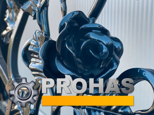 Logo von PROHAS APEN - TORE & ZÄUNE