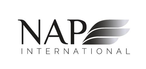 Logo von NAP International