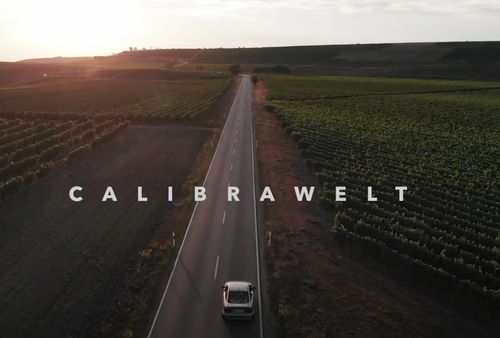 Logo von de Ric Calibrawelt