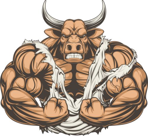 Logo von MUSCLE GYM EQUIPMENT