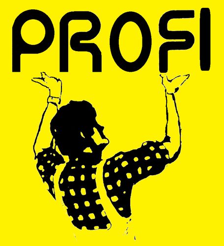 Logo von Profi-Baumaschinen-,Werkzeuge-,Gerüst-Vermietung