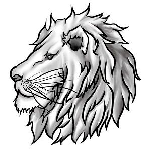 Logo von leo-energy