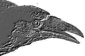 Logo von Voratek e.K.