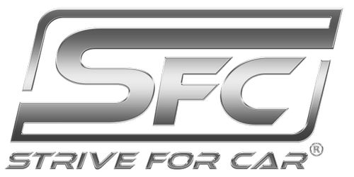 Logo von Strive For Car GmbH