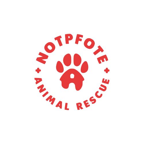 Logo von Notpfote Animal Rescue e.V.