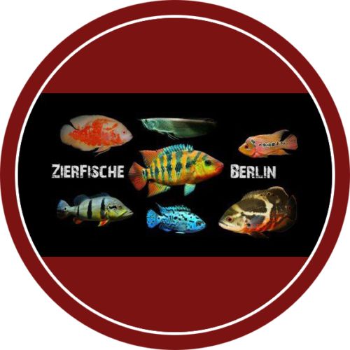 Logo von Zierfische-Berlin
