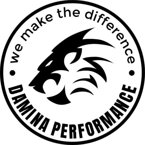 Damina Performance GmbH