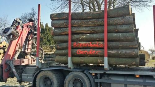 Logo von Brennholz Bender / Stammholz Hessen