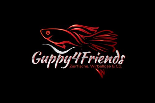 Logo von Guppy4friends Nicole Martin