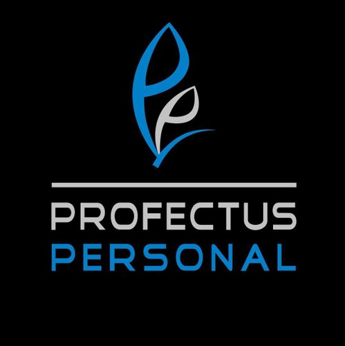 Logo von Profectus Personal GmbH