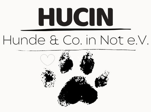 Logo von Hunde & Co. in Not e.V. 