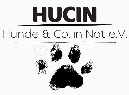 Hunde & Co. in Not e.V.