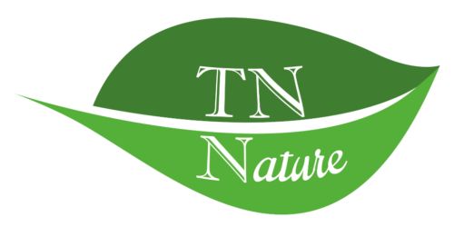 Logo von TNN-Trade GbR