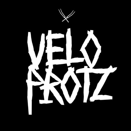 Logo von VELOPROTZ