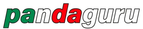 Logo von Firma Pandaguru
