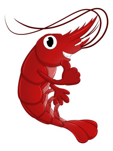 Logo von Schmitt Aquaristik