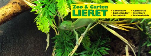 Logo von Garten und Zoo Lieret GmbH