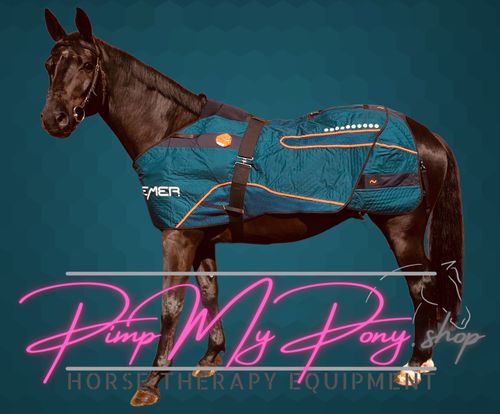 Team PimpMyPony.shop