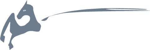 Logo von pegasus-prospekt GmbH