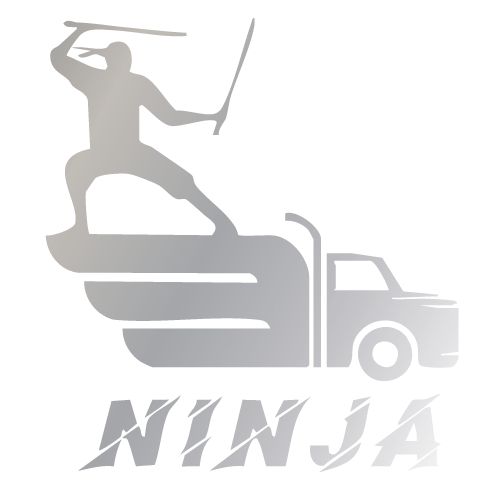 Logo von Ninja Umzuege